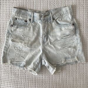 American Eagle Outfitters Light Blue Distressed Shorts